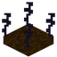 Starfire Bird Nest