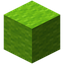 Lime Wool