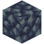 Block of Raw Silver