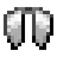 Elytra