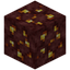 Nether Gold Ore