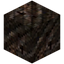 Asai Palm Planks
