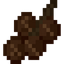 Pecan Fruit