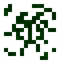 Moss