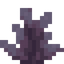 Purple Bearberries