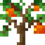 Orange Sapling
