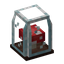 Mushroom Terrarium