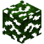 Mahogany Leaves