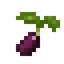 Blackberry Seed