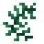 Seaweed