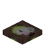 White Ipe Trapdoor