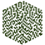 Brazilwood Leaves
