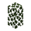 Birch Hedge