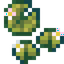 Flowering Lily Pad