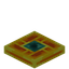 Teleport Pad