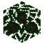 Plum Leaves