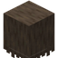 Evergreen Thatch