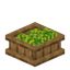 Melon Food Box