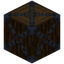 Spruce Log 5x