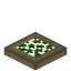 Overgrown Birch Trapdoor