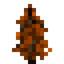 Orange Spruce Sapling