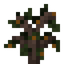 Lemon Sapling