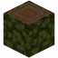 Overgrown Jungle Log