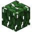 Palm Leaves
