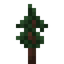 Redwood Sapling