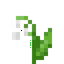 Lily of the Valley