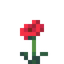 Poppy