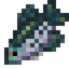 Black Crappie