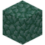 Prismarine