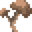 Franken Brown Mushroom