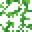 Thin Vine