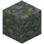 Mossy Smooth Stone Bricks