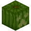 Lime Jack o'Lantern