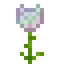Opal Glowrose