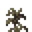 Dead Pine Shrub