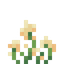 Butterbunch
