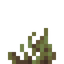 Starlight Seagrass