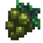 White Taiga Grapes