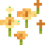 Yellow Sakura Petals