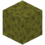 Sponge