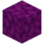 Bubble Coral Block
