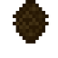 Pinenut Fruit