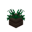 Small Leave Wooden Pot