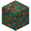 Erratic Warped Wart Block
