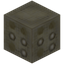 Braille Block .