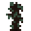 Rose Gum Sapling